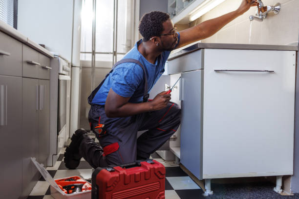 Best Plumbing Services Near Me  in West Liberty, OH